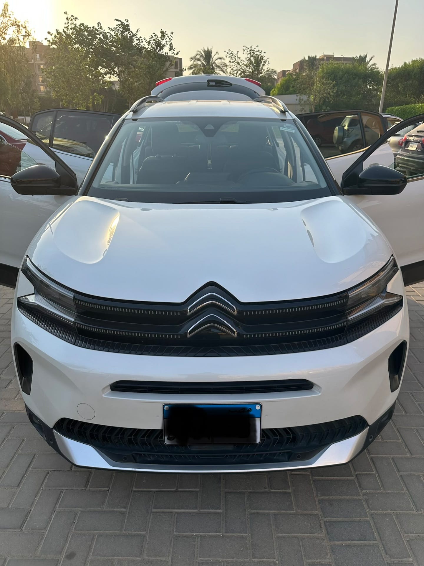 Citroen Sy 5 Ayr Krws